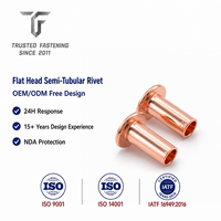Rivets semi-tubulaires à tête plate en acier inoxydable TianFang pour panneaux de distributeurs automatiques, finition passivée, fourniture OEM