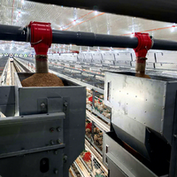 Cage à poulets automatique de type H, nouvelle cage à poulets de chair, acier galvanisé à chaud antirouille
