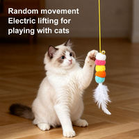 Jouet Électrique Écologique en Gros pour Animaux de Compagnie : Yo-Yo à Plumes à Suspendre à la Porte pour le Divertissement Autonome des Chats – Jouet Intelligent pour Chats Style Dessin Animé