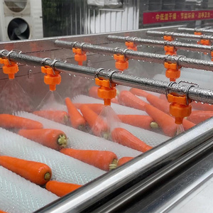 Máquina de Lavado de Frutas y Verduras Tipo Cepillo de Burbujas, Ahorradora de Energía, Comercial, para Plantas de Procesamiento de Verduras, Procesamiento de Maíz y Frutas - Product Image 5