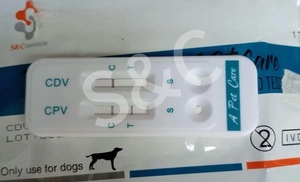 ペットケア獣医検査迅速診断キットペットヘリコバクターピロリクイックチェックキット猫<span class=keywords><strong>H</strong></span>.ピロリ犬テストストリップ - Product Image 3