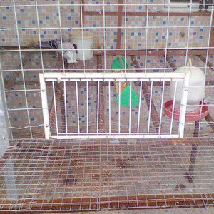 Fournitures pour volailles Pigeon House Cadre de porte Entrée unique Piège Portes Cage Oiseaux Attraper Cages à oiseaux amovibles - Product Image 2