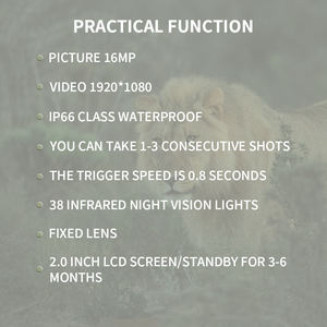 Faune 940nm <span class=keywords><strong>invisible</strong></span> Vision nocturne 12MP 1080P <span class=keywords><strong>chasse</strong></span> aux animaux sauvages Caméra sauvage - Product Image 4
