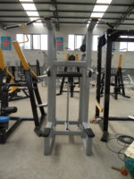 Estación de Dominadas y Flexiones Asistidas de Alta Calidad ST-4010 para Entrenamiento de Fuerza en Gimnasios