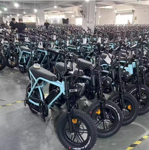 Mini vélo électrique V8-Comparaison des spécifications des versions européennes et américaines - Product Image 6