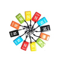 Porte-clés des médias sociaux Rfid nfc carte à puce Programmable avec anneau métallique étiquette époxy iso14443a nfc