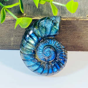 Offre Spéciale : Coquille de Labradorite Naturelle en Forme d'Escargot, Artisanat en Cristal, Énergie Guérisseuse, Effet Bleu Scintillant, Idéale pour Cadeau - Product Image 1