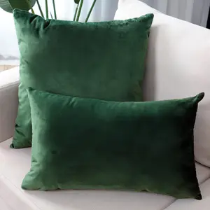 Housse de coussin avec fermeture éclair, oreiller en velours doux, vert, 45x45/