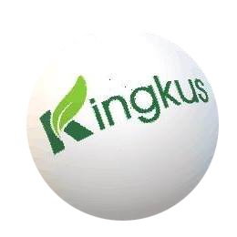 Shanghai Kingkus New Material Co., Ltd. logo