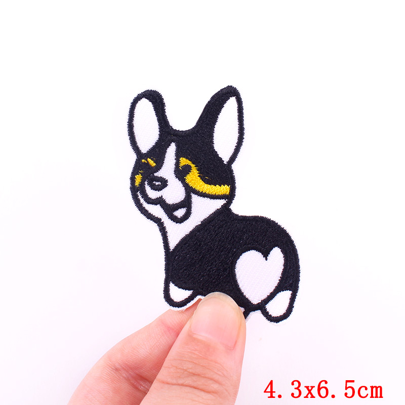 PE6149CT