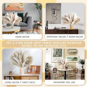 Bouquet de fleurs séchées mixtes transfrontalières fait main pour la décoration intérieure, avec herbe de la pampa, roseau et queue de lapin, pour la décoration et l'entretien des tissus. - Product Image 3