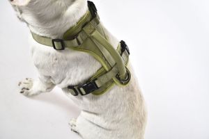 Tali dada dapat disesuaikan <span class=keywords><strong>Harness</strong></span> anjing kulit Premium untuk anjing kecil sedang besar - Product Image 4