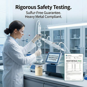 Extracto Herbal de Dictyophora (Hongo del Huevo) y Bambú en Polvo, Polisacárido, Polipéptido, Envasado al Vacío, Grado Alimenticio, Alimento Saludable - Product Image 5