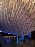 Écrans suspendus en verre à motif plume coloré, écrans en verre suspendus en cristal pour mur-rideau extérieur et décoration de bâtiment