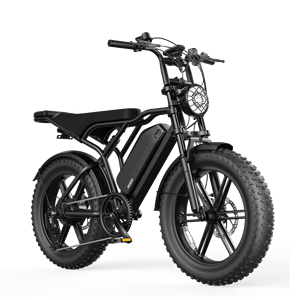Vélo cargo électrique à longue portée R002 48V 20 pouces à pneus larges pour la famille, les enfants, les animaux domestiques, transport <span class=keywords><strong>urbain</strong></span>, vélo tout-terrain à assistance au pédalage - Product Image 2