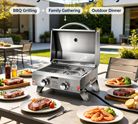 Barbecue portable pliable moderne à gaz naturel en acier inoxydable à 2 brûleurs pour table extérieure