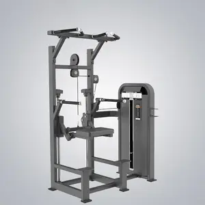 DHZ Fitness-Fitness geräte E5009S Fusion S-Serie Dip Chin Assist