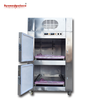 Réfrigérateur mortuaire à double chambre SYSMEDICAL STG2H, congélateur pour corps, à vendre