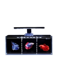 Aquarium pour poissons Betta thaïlandais ultra-transparent, plusieurs compartiments, filtration arrière, pas de changement d'eau requis, design compact et écologique