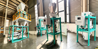 Machine de remplissage et de scellage automatique de poudre de riz collant, haute productivité (300-400 sacs/heure), haute précision, contrôlée par PLC, pour emballage plastique