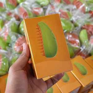 แปรงทำความสะอาดขนสัตว์เลี้ยงแบบไอน้ำ 3 in 1 รุ่นใหม่ แปรงหวีขนสัตว์เลี้ยงแบบอบไอน้ำ สำหรับสุนัขและแมว ช่วยขจัดขนหลุดร่วง ใช้สำหรับอาบน้ำสัตว์เลี้ยง - Product Image 3