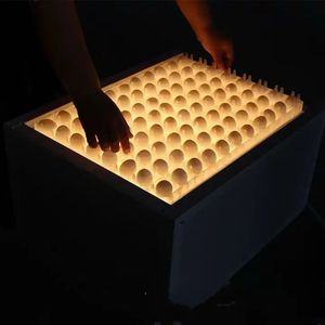 Incubadora Automática de Huevos de Avestruz, Ganso y Pato de 220V, Material PP, Luz Fría, Máquina de Inspección de Cría, Nueva y de Alta Calidad - Product Image 2