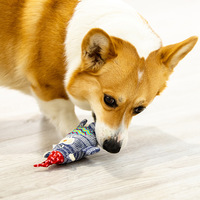 Vente en gros de jouets de luxe en cache-cache pour chiens ensemble de grincement peluche BB jouet pour chiens grinçant cadeau de Noël nouveau
