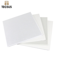 Paneles Acústicos para Techo, Completamente Perforados, de Metal con Recubrimiento en Polvo, Aluminio, Sistema de Clip, 60x60, Plafón Acústico