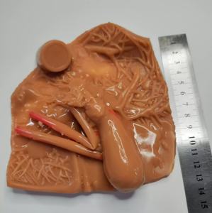 Modèle d'entraînement de la vésicule biliaire humaine KyrenMed modèle de pratique de chirurgie hépatologique en silicone simulateur d'entraînement laparoscopique - Product Image 3