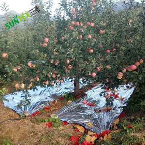 Film de paillage réfléchissant argenté moulé par soufflage pour l'agriculture des vergers de pommes : favorise la croissance des fruits et économise l'énergie - Product Image 1