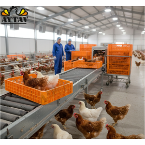 Cajón 301011 - Nuevo sistema portátil de carga de pollos tipo A - Material PE AYTAV de alta calidad con 1 año de garantía - Product Image 3