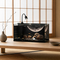 Ensemble d'aquarium de bureau moderne en gros, aquarium en verre faible en fer haute définition avec filtre silencieux intégré et lampe LED zoomable