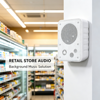 Haut-parleur mural à tension constante 20W, 110V, woofer et tweeter de 4 pouces, enceintes PA commerciales pour hôtel, supermarché, usine, vente en gros