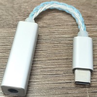 Dongle DAC Portabel Logam Putih Perak Kabel Berlapis Perak Kepang Biru Putih Tipe C HiFi Lossless Hardware Decoding Entry Level
