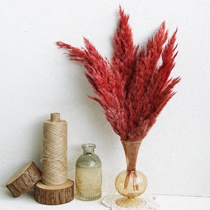 Colorido seco lujo Pampas hierba penacho flor Natural Real conservado salvaje seco Pampas hierba para decoración de boda - Product Image 4