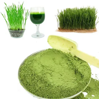 Poudre de jus d'herbe d'orge de marque privée OEM, fabricants de poudre d'herbe d'orge biologique 100% pure en vrac