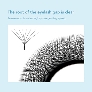Extensions <span class=keywords><strong>de</strong></span> <span class=keywords><strong>cils</strong></span> 7D W Fan PBT, <span class=keywords><strong>prix</strong></span> d'usine DIYDAY. Service OEM <span class=keywords><strong>Cils</strong></span> Préfabriqués - Product Image 5