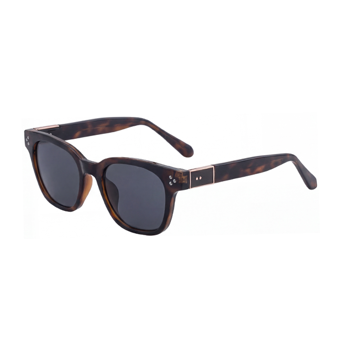 C3 Brown Transparency Frame Gray