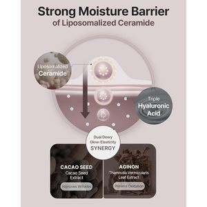 Theralogic Phytocera Pro Crema Antioxidante 10X Lifting 50ml Hidratante Antienvejecimiento Para Todo Tipo de Piel - Product Image 5