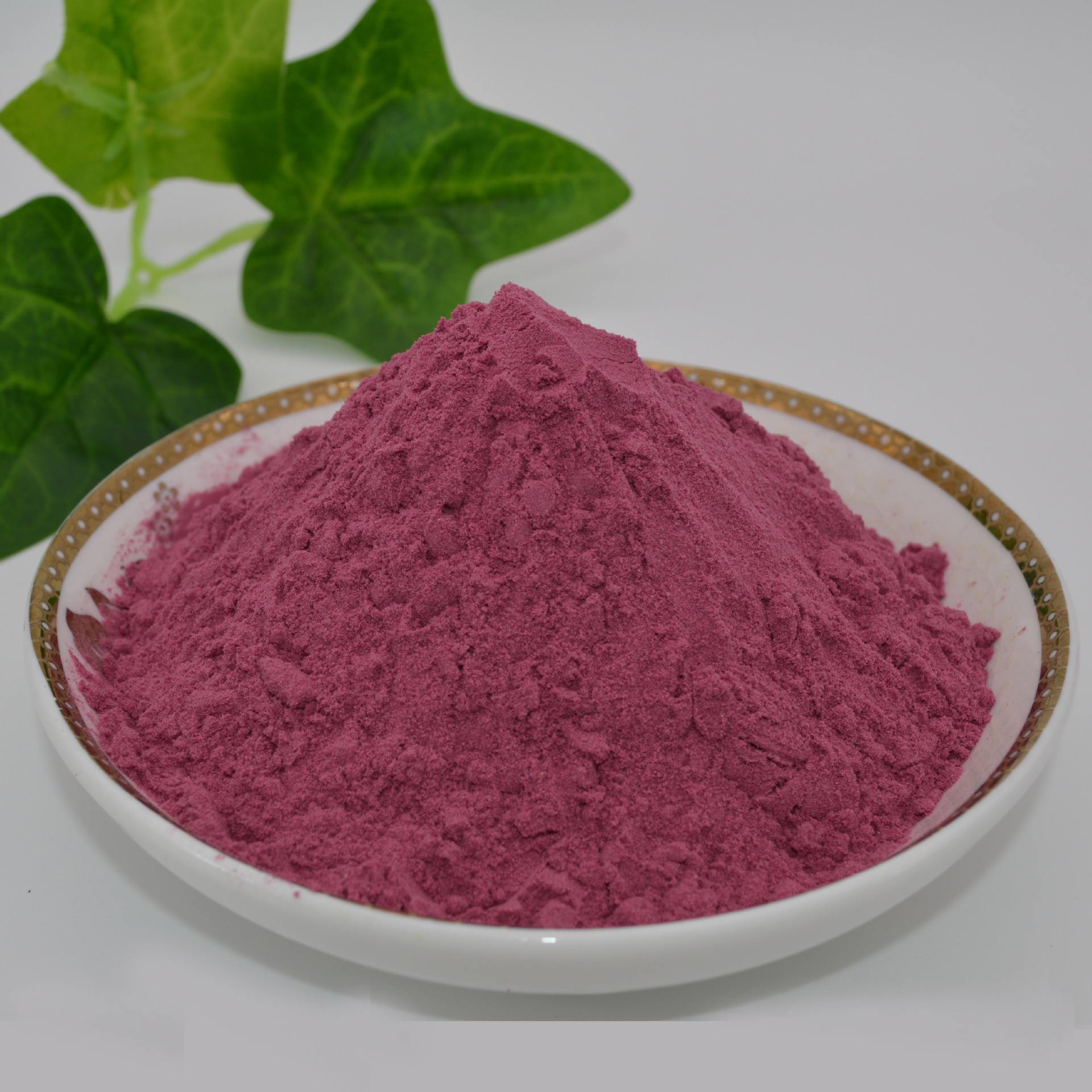 100% Dissolve in Water BlueBerry Plant Extract Food Fruit Powder
