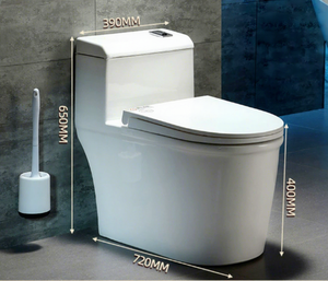 Inodoro de Cerámica de Dos Piezas con Doble Descarga para Baño Público - Product Image 6
