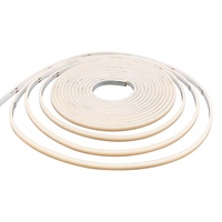 Tube de néon en silicone à extrusion en vue de dessus LIGHTING, tube de néon LED en silicone de 3 mm, 480 LED, bandes flexibles COB, lumière néon flexible en silicone