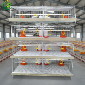 Nueva Jaula para Pollitos de Acero Galvanizado Tipo H de Cuatro Niveles y <span class=keywords><strong>Ocho</strong></span> Puertas, de Alta Calidad, Fabricada con Acero Q235 con Alto Contenido de Carbono, Entrega en 45 Días - Product Image 1