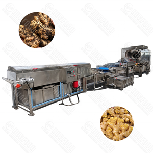 Équipement de lavage et de pelage continu automatique motorisé pour légumes et fruits, destiné aux usines ou lignes de transformation alimentaire - Product Image 3