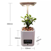 Liweida – Mini Pots de fleurs et jardinières intelligents à hauteur réglable avec humidificateur, purificateur d'air, réveil