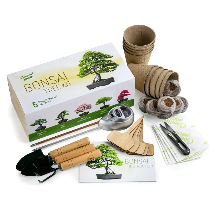 Custom Flower Succulent Prefossinal Tap Garden Hand Tool Kid Stainless Steel Green Bonsai Kit