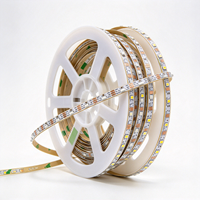 Bande LED T-2K-U 12V à émission latérale, largeur 5mm, couleur intégrale, puce WS2812B 5050, flexible, adressable, programmable, alimentée par USB, en ABS