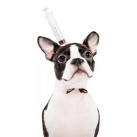 Couvre-chef pour chien et chat, Costume Cosplay, ciseaux, hache, marteau, accessoires de bricolage, chien, chien et chien, chapeau de coiffure amusant pour Halloween