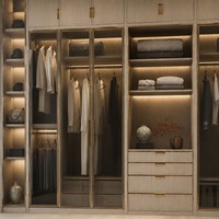 Système de dressing moderne sur mesure avec zones de suspension, étagères de présentation, éclairage LED et étagères ouvertes