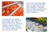 Industriële Bubbelwasmachine Voor Fruit & Groente-Kool, Bladreinigingsapparatuur, Hoogrenderende Wasmachine